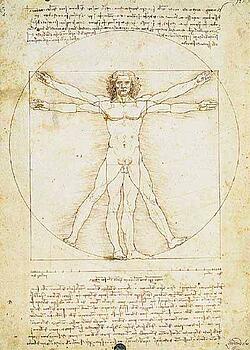 Proportions of the Human Figure by Leonardo Da Vinci, Art Print