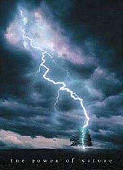 Power Of Nature Art Print Barewalls Posters Prints Bw