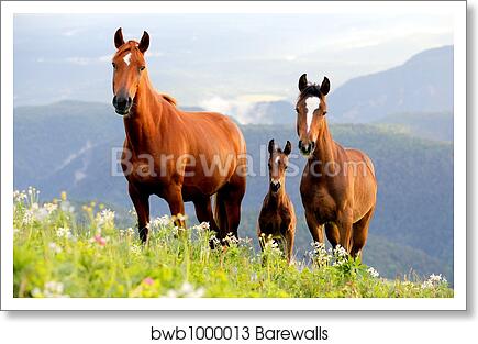 Three lovely horses by Alexey Zobov, Art Print
