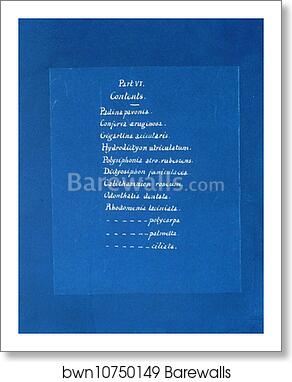 Contents list by Anna Atkins, Art Print