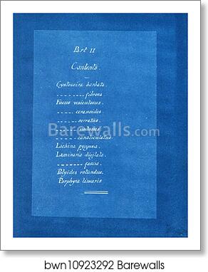 Contents list by Anna Atkins, Art Print