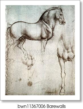 Study of horses by Leonardo Da Vinci, Art Print