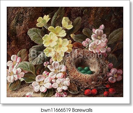 Apple Blossom, Primroses and Bird's Nest by George Clare, Art Print