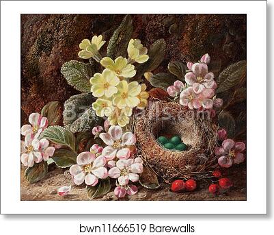 Apple Blossom, Primroses and Bird's Nest by George Clare, Art Print Apple Blossom, Primroses and Bird's Nest by George Clare, Art Print