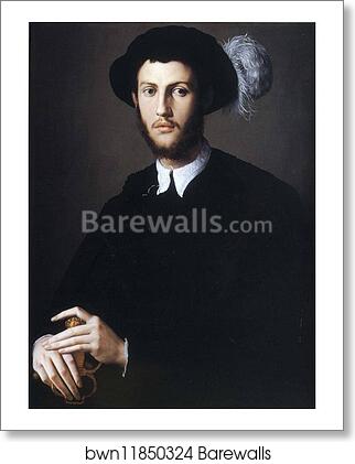 Portrait of Young Man in a Hat with a Feather by Agnolo Bronzino, Art Print Portrait of Young Man in a Hat with a Feather by Agnolo Bronzino, Art Print