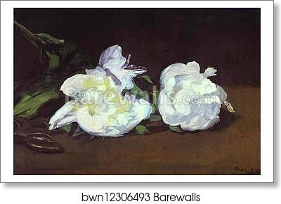 Branch of White Peonies and Shears by Edouard Manet, Art Print Branch of White Peonies and Shears by Edouard Manet, Art Print