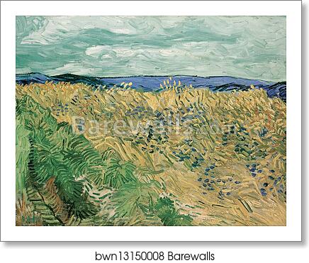 Wheatfield With Cornflowers by Vincent Van Gogh, Art Print