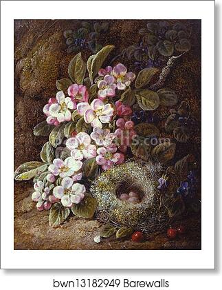Flowers and Bird's Nest on a Mossy Bank by George Clare, Art Print Flowers and Bird's Nest on a Mossy Bank by George Clare, Art Print
