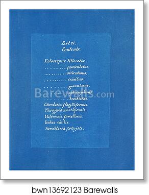 Contents list by Anna Atkins, Art Print