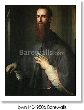 Portrait of Niccolo Ardinghelli by Jacopo Carrucci, Known As Pontormo, Art Print Portrait of Niccolo Ardinghelli by Jacopo Carrucci, Known As Pontormo, Art Print