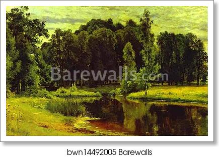 Pond in a Old Park by Ivan Shishkin, Art Print