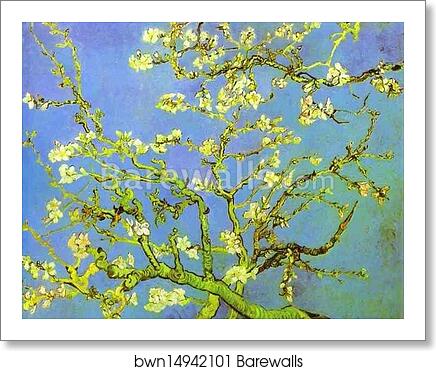 Branches of Almond tree in Bloom. Saint-Rémy by Vincent Van Gogh, Art Print