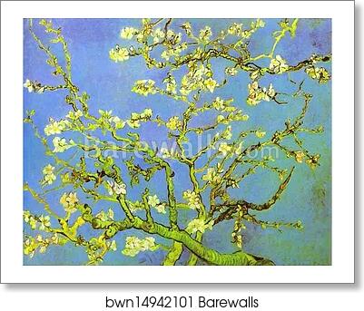Branches of Almond tree in Bloom. Saint-Rémy by Vincent Van Gogh, Art Print Branches of Almond tree in Bloom. Saint-Rémy by Vincent Van Gogh, Art Print