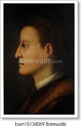 Cosimo I de' Medici by Jacopo Carrucci, Known As Pontormo, Art Print Cosimo I de' Medici by Jacopo Carrucci, Known As Pontormo, Art Print