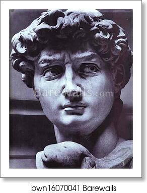 David. Detail by Michelangelo, Art Print