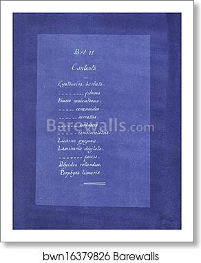Contents list by Anna Atkins, Art Print