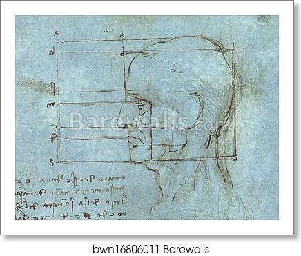Proportions of the Head (c. 1488 - 1489) by Leonardo Da Vinci, Art Print