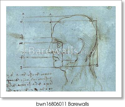 Proportions of the Head (c. 1488 - 1489) by Leonardo Da Vinci, Art Print Proportions of the Head (c. 1488 - 1489) by Leonardo Da Vinci, Art Print