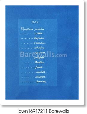 Contents list by Anna Atkins, Art Print