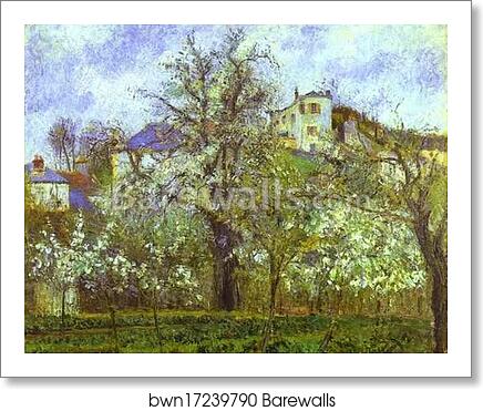Vegetable Garden and Trees in Blossom, Spring, Pontoise by Camille Pissarro, Art Print