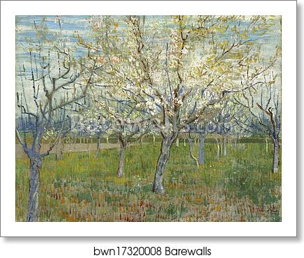 The pink orchard by Vincent Van Gogh, Art Print