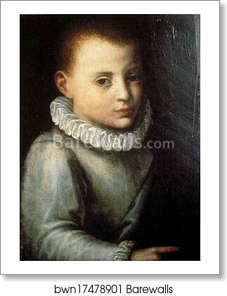 Portrait of Asdrubale Anguissola by Sofonisba Anguissola, Art Print Portrait of Asdrubale Anguissola by Sofonisba Anguissola, Art Print