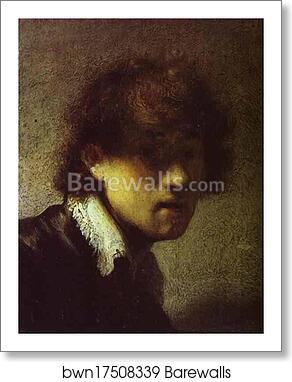 Self-Portrait by Rembrandt Harmenszoon Van Rijn, Art Print