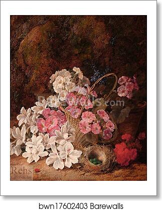 Still Life of Flowers, Bird's Nest and Basket by George Clare, Art Print Still Life of Flowers, Bird's Nest and Basket by George Clare, Art Print