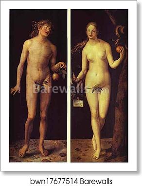 Adam and Eve by Albrecht Dürer, Art Print