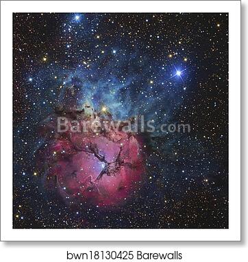 The Trifid Nebula by R Jay Gabany/Stocktrek Images, Art Print