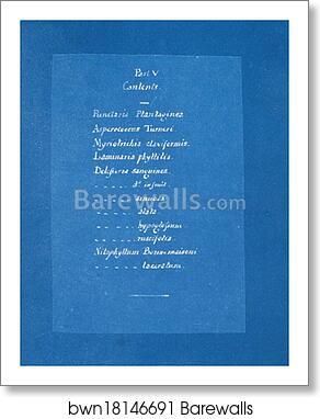 Contents list by Anna Atkins, Art Print