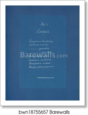 Contents list by Anna Atkins, Art Print