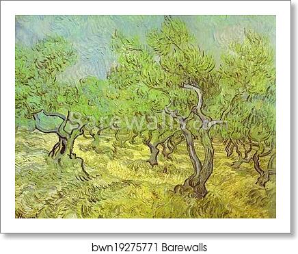 Olive Orchard. Saint-Rémy by Vincent Van Gogh, Art Print