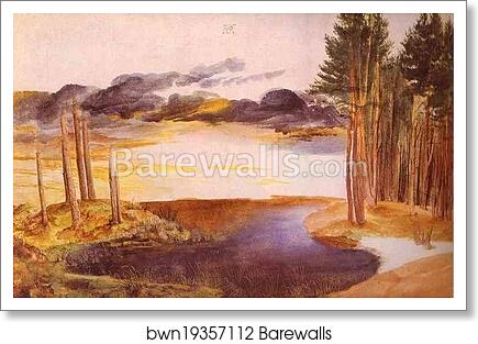 Pond in the Woods by Albrecht Dürer, Art Print
