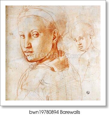 Study of a Youth Turning His Head by Jacopo Carrucci, Known As Pontormo, Art Print