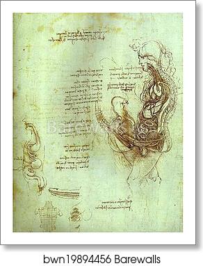Coition of Hemisected Man and Woman by Leonardo Da Vinci, Art Print Coition of Hemisected Man and Woman by Leonardo Da Vinci, Art Print