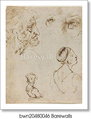 Sheet of Studies [recto] by Leonardo Da Vinci, Art Print