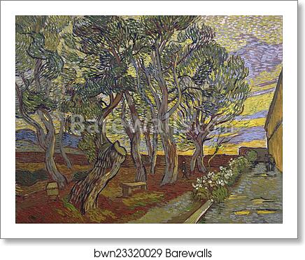 The garden of Saint Paul's Hospital by Vincent Van Gogh, Art Print