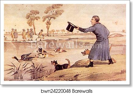 Duck Baiting by Henry Thomas Alken, Art Print