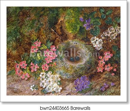 Still Life of Blossoms and Bird's Nest by George Clare, Art Print