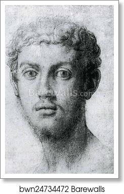 Portrait of Young Man in a Hat with a Feather by Agnolo Bronzino, Art Print