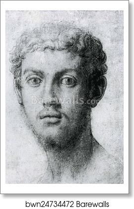 Portrait of Young Man in a Hat with a Feather by Agnolo Bronzino, Art Print Portrait of Young Man in a Hat with a Feather by Agnolo Bronzino, Art Print