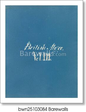 British Algae, Vol. III [title page] by Anna Atkins, Art Print