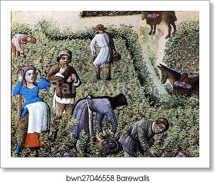 Les trÄ�s riches heures du Duc de Berry. September. Château de Saumur. Detail by Limbourg Brothers, Art Print