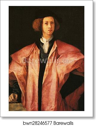 Portrait of a Young Man (Alessandro de' Medici?) by Jacopo Carrucci, Known As Pontormo, Art Print Portrait of a Young Man (Alessandro de' Medici?) by Jacopo Carrucci, Known As Pontormo, Art Print
