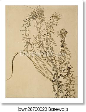 Tassel hyancinth by Vincent Van Gogh, Art Print