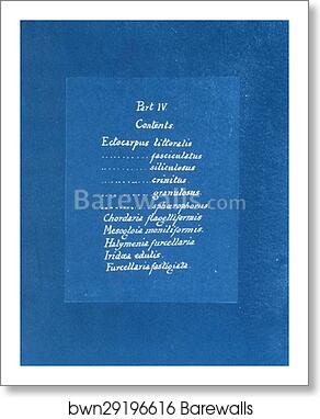 Contents list by Anna Atkins, Art Print
