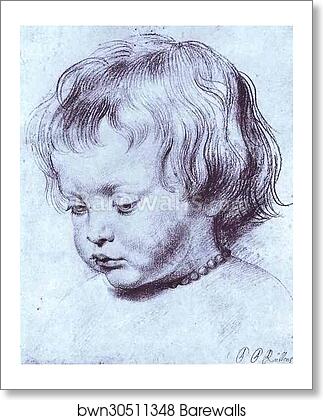 Portrait of a Boy (Nicholas Rubens) by Peter Paul Rubens, Art Print Portrait of a Boy (Nicholas Rubens) by Peter Paul Rubens, Art Print