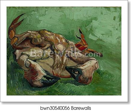 A crab on its back by Vincent Van Gogh, Art Print