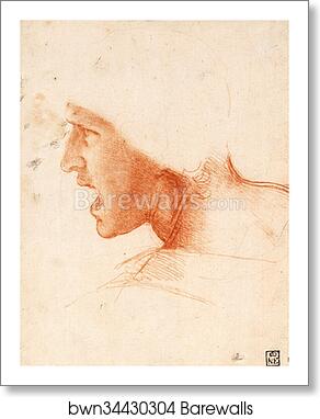 Study of a Warrior's Head for the Battle of Anghiari by Leonardo Da Vinci, Art Print